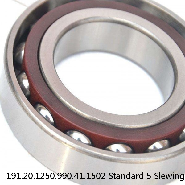 191.20.1250.990.41.1502 Standard 5 Slewing Ring Bearings