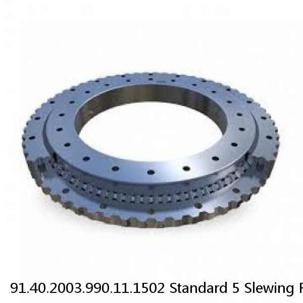 91.40.2003.990.11.1502 Standard 5 Slewing Ring Bearings