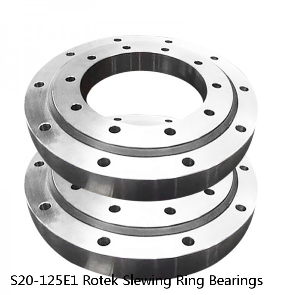 S20-125E1 Rotek Slewing Ring Bearings