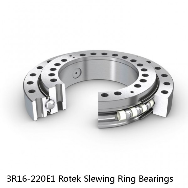 3R16-220E1 Rotek Slewing Ring Bearings