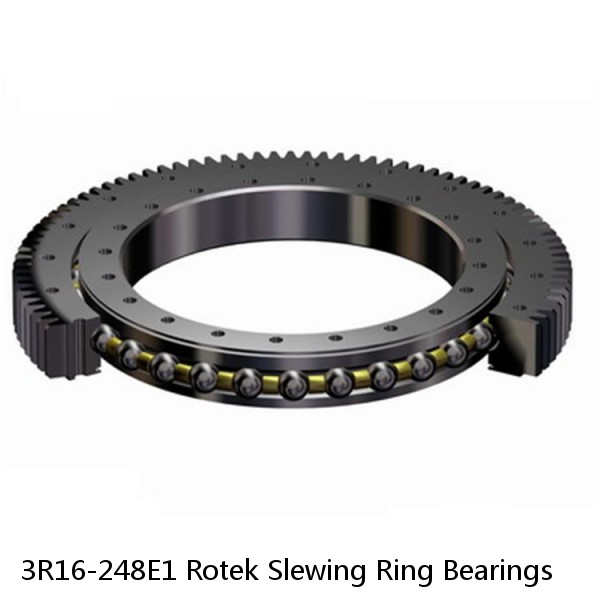 3R16-248E1 Rotek Slewing Ring Bearings