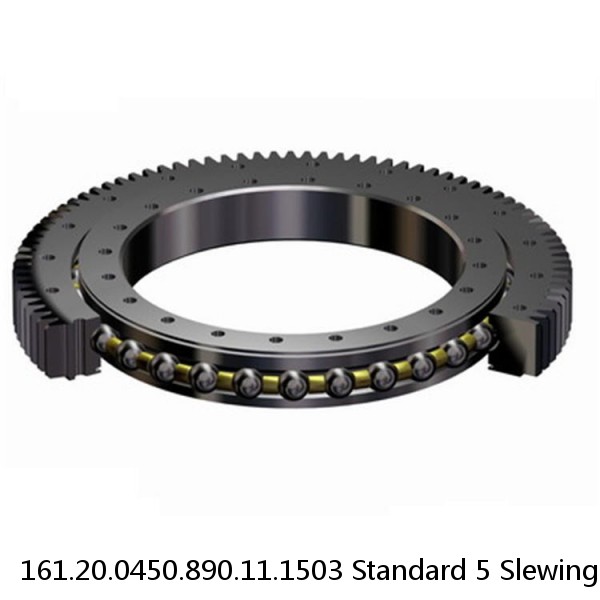 161.20.0450.890.11.1503 Standard 5 Slewing Ring Bearings