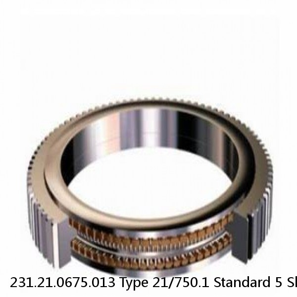 231.21.0675.013 Type 21/750.1 Standard 5 Slewing Ring Bearings