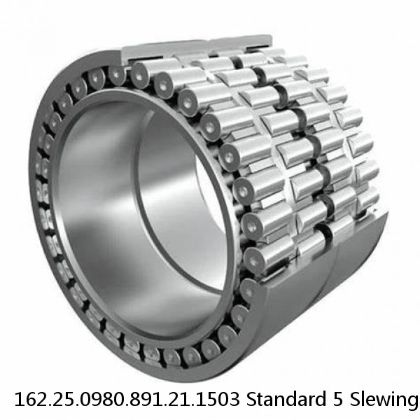 162.25.0980.891.21.1503 Standard 5 Slewing Ring Bearings