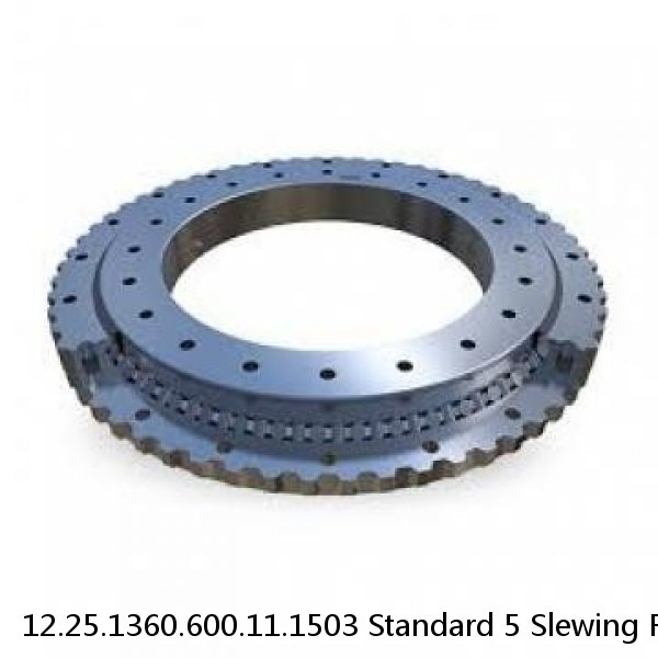 12.25.1360.600.11.1503 Standard 5 Slewing Ring Bearings