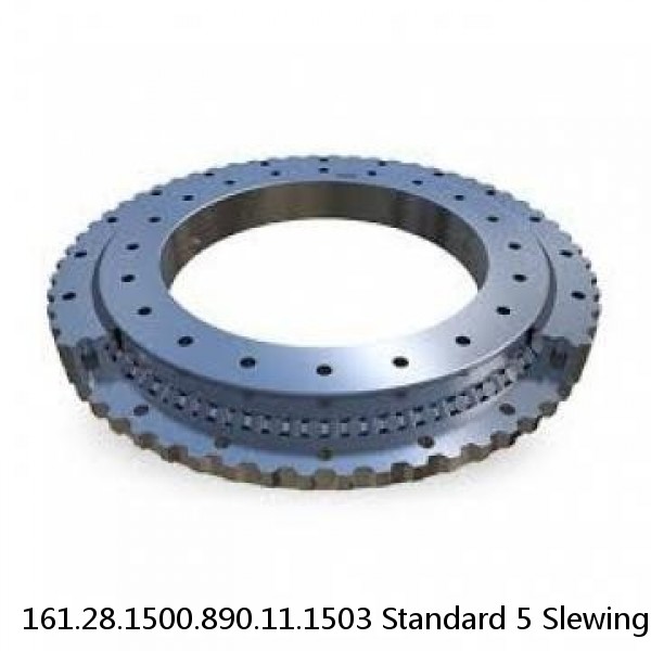 161.28.1500.890.11.1503 Standard 5 Slewing Ring Bearings