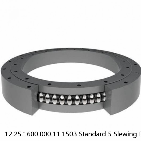 12.25.1600.000.11.1503 Standard 5 Slewing Ring Bearings