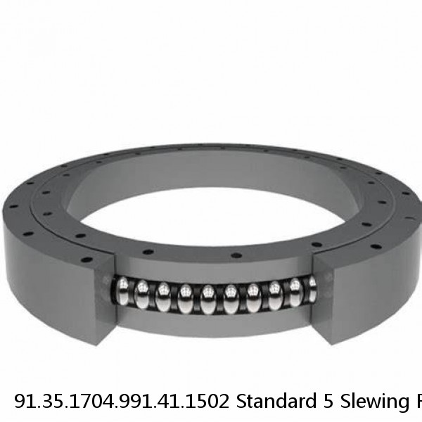 91.35.1704.991.41.1502 Standard 5 Slewing Ring Bearings