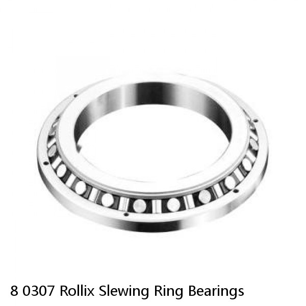 8 0307 Rollix Slewing Ring Bearings