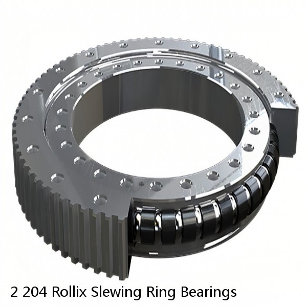 2 204 Rollix Slewing Ring Bearings