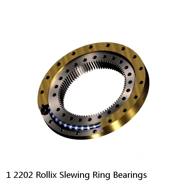 1 2202 Rollix Slewing Ring Bearings