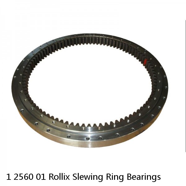 1 2560 01 Rollix Slewing Ring Bearings