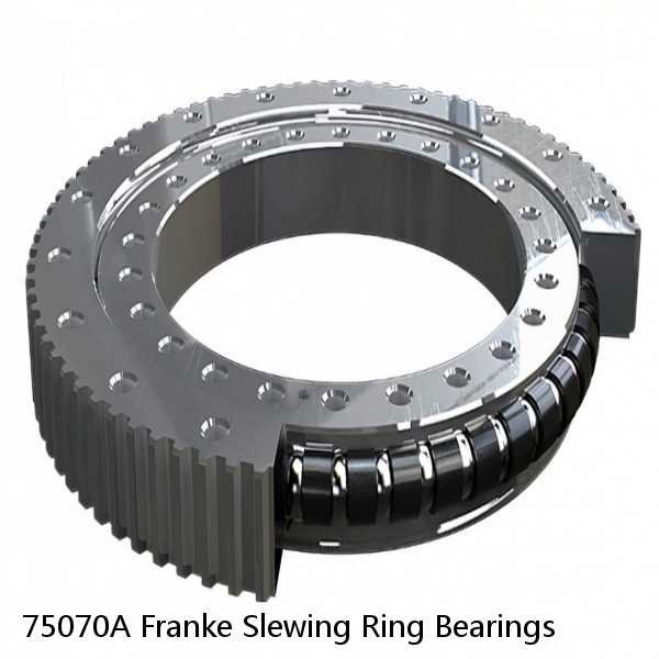 75070A Franke Slewing Ring Bearings