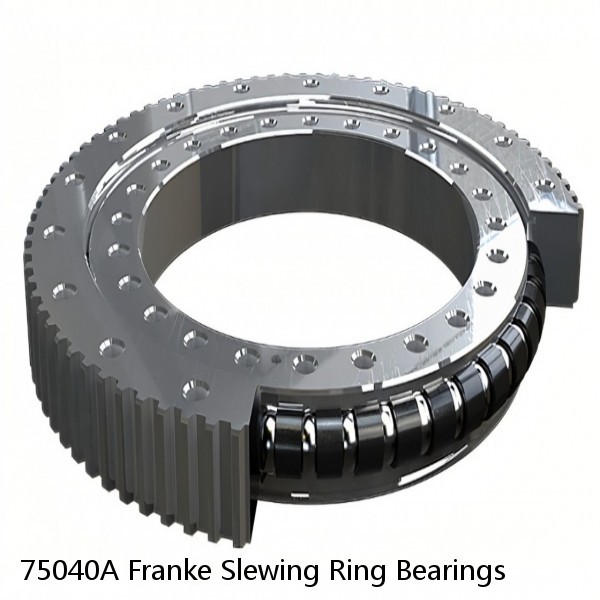 75040A Franke Slewing Ring Bearings