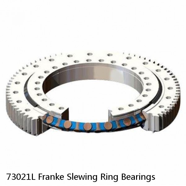 73021L Franke Slewing Ring Bearings