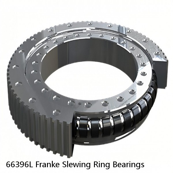 66396L Franke Slewing Ring Bearings