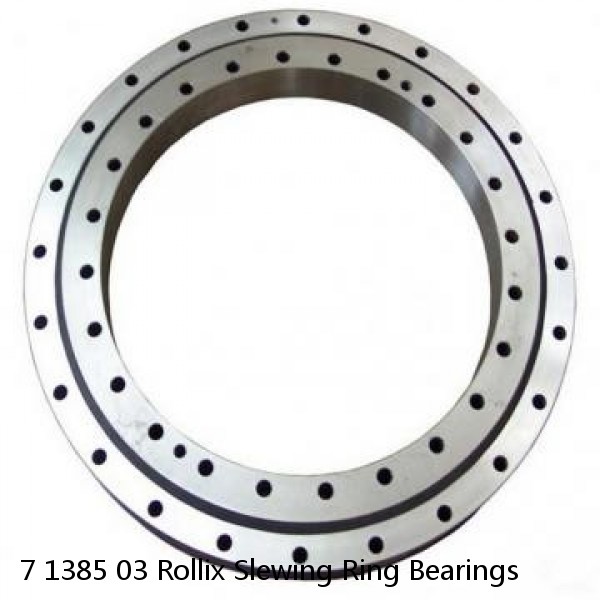 7 1385 03 Rollix Slewing Ring Bearings