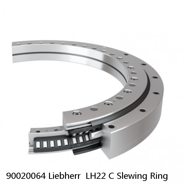 90020064 Liebherr  LH22 C Slewing Ring