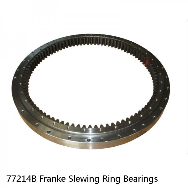 77214B Franke Slewing Ring Bearings