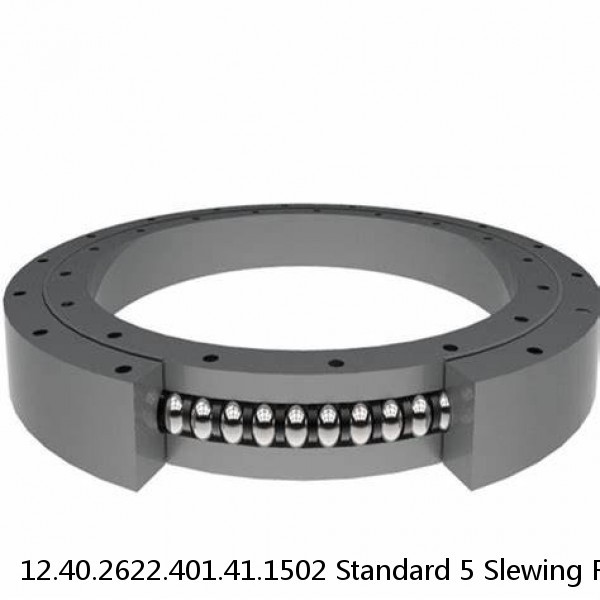 12.40.2622.401.41.1502 Standard 5 Slewing Ring Bearings #1 small image