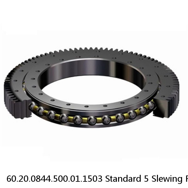 60.20.0844.500.01.1503 Standard 5 Slewing Ring Bearings