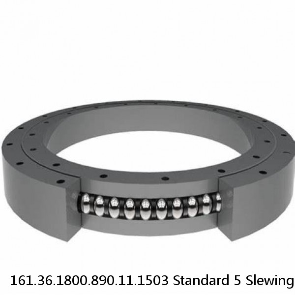 161.36.1800.890.11.1503 Standard 5 Slewing Ring Bearings