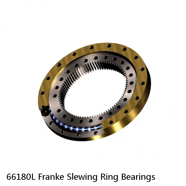 66180L Franke Slewing Ring Bearings