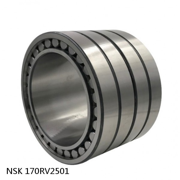 170RV2501 NSK Four-Row Cylindrical Roller Bearing