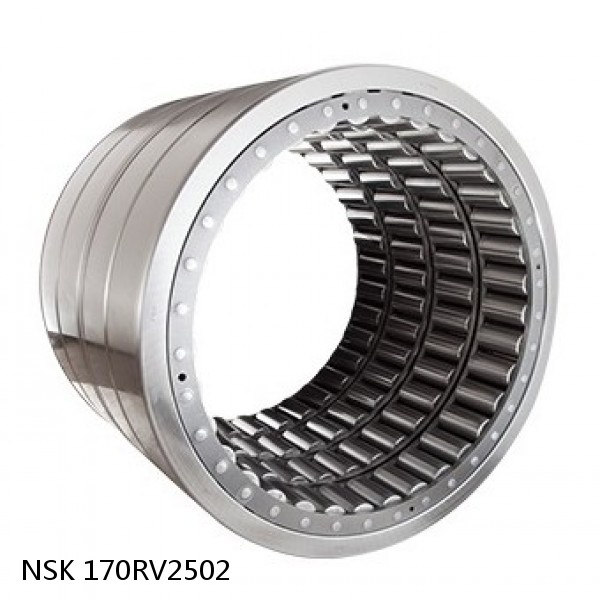 170RV2502 NSK Four-Row Cylindrical Roller Bearing