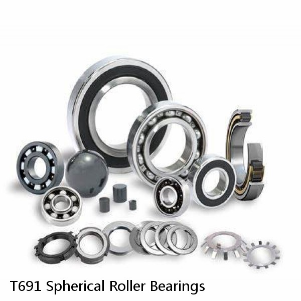 T691 Spherical Roller Bearings