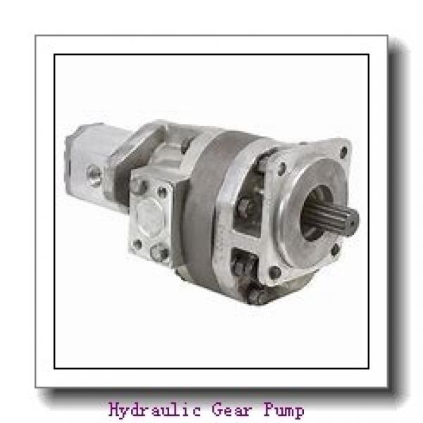 CBKP of CBKP32,CBKP40,CBKP50,CBKP63,CBKP80,CBKP100 tandem hydraulic gear pump #1 image