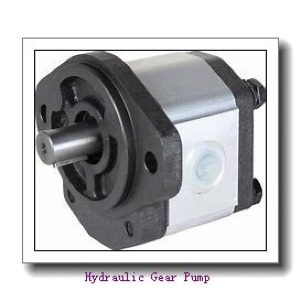 Cat305.5 Hydraulic  Gear  Pump for Excavator #1 image