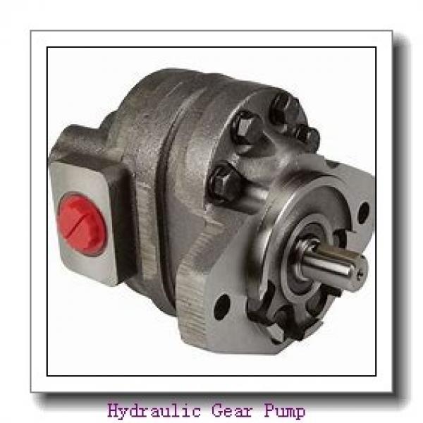 3N2078 hydraulic rotary gear pump #2 image