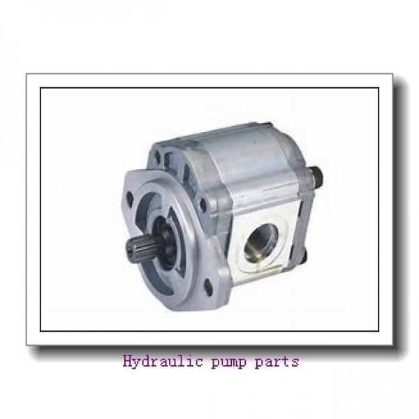 A11V190 Series Hydraulic Pump Parts of Valve Plate #2 image