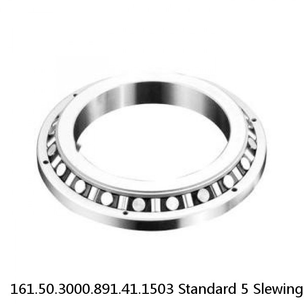 161.50.3000.891.41.1503 Standard 5 Slewing Ring Bearings #1 image