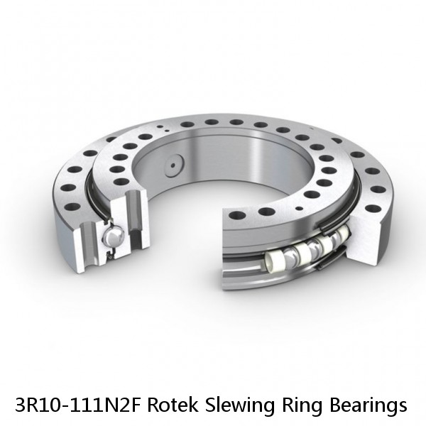 3R10-111N2F Rotek Slewing Ring Bearings #1 image