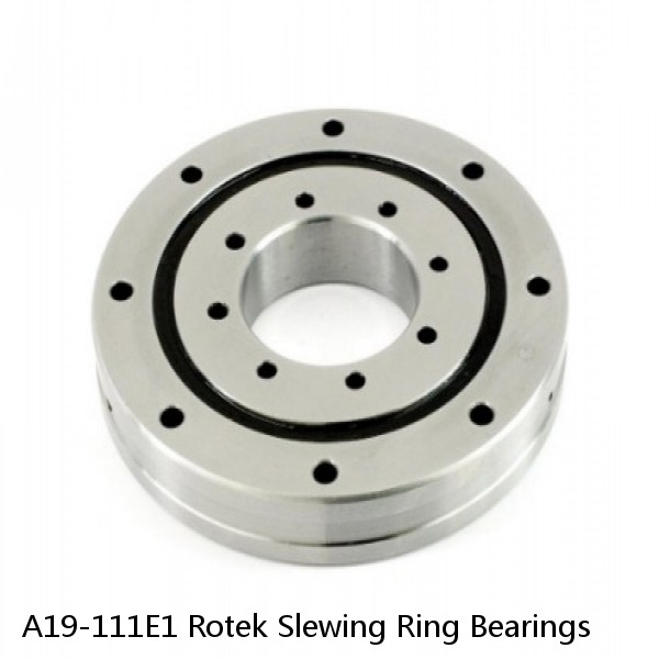 A19-111E1 Rotek Slewing Ring Bearings #1 image