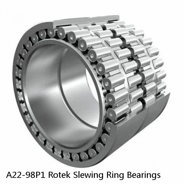 A22-98P1 Rotek Slewing Ring Bearings #1 image