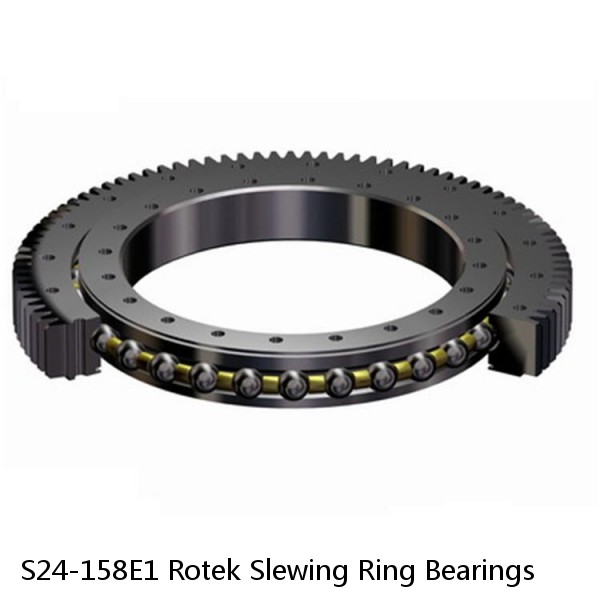 S24-158E1 Rotek Slewing Ring Bearings #1 image