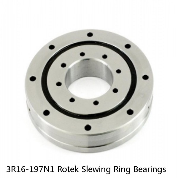 3R16-197N1 Rotek Slewing Ring Bearings #1 image