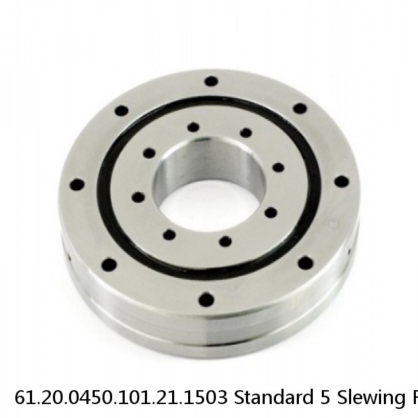 61.20.0450.101.21.1503 Standard 5 Slewing Ring Bearings #1 image