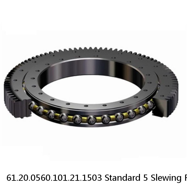 61.20.0560.101.21.1503 Standard 5 Slewing Ring Bearings #1 image