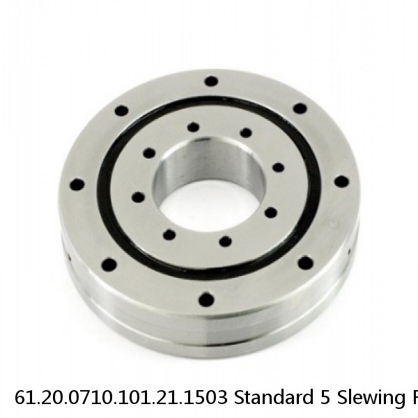 61.20.0710.101.21.1503 Standard 5 Slewing Ring Bearings #1 image