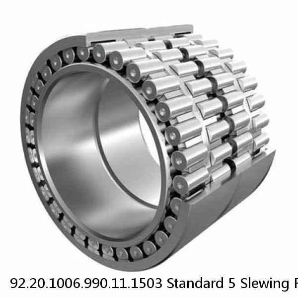 92.20.1006.990.11.1503 Standard 5 Slewing Ring Bearings #1 image