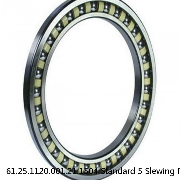 61.25.1120.001.21.1504 Standard 5 Slewing Ring Bearings #1 image