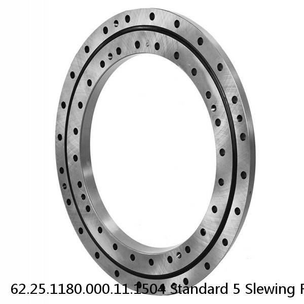 62.25.1180.000.11.1504 Standard 5 Slewing Ring Bearings #1 image