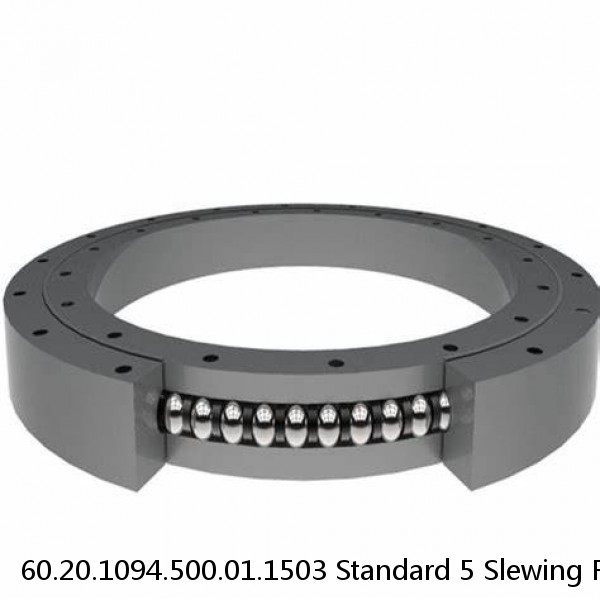 60.20.1094.500.01.1503 Standard 5 Slewing Ring Bearings #1 image