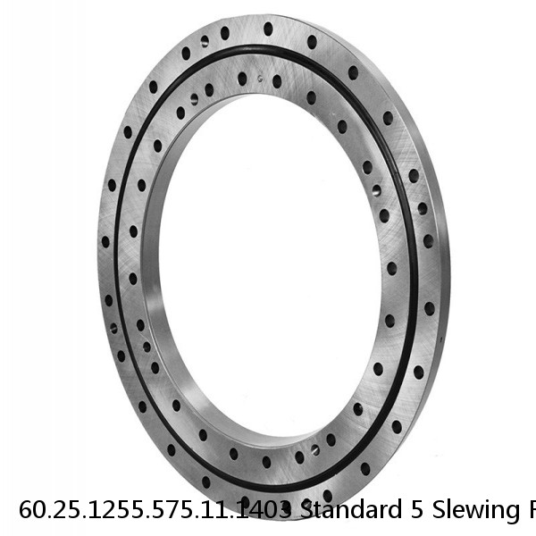 60.25.1255.575.11.1403 Standard 5 Slewing Ring Bearings #1 image