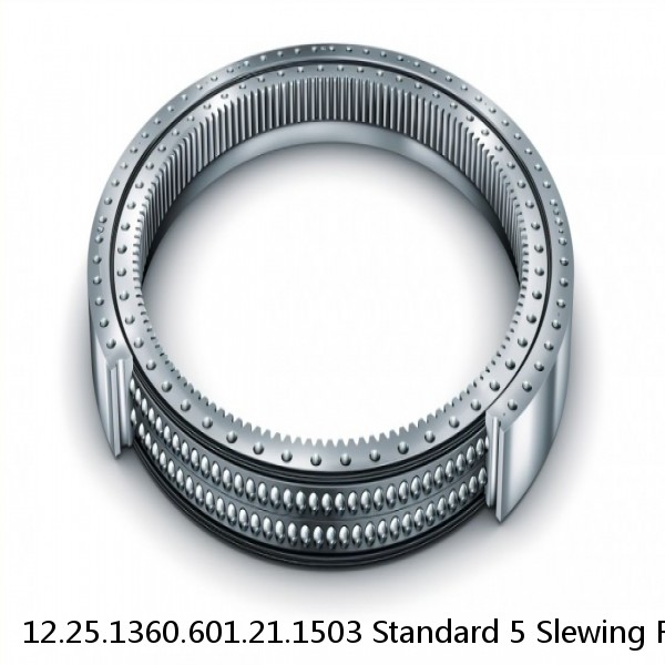 12.25.1360.601.21.1503 Standard 5 Slewing Ring Bearings #1 image