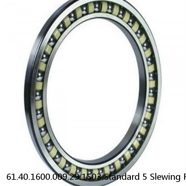 61.40.1600.009.29.1503 Standard 5 Slewing Ring Bearings #1 image